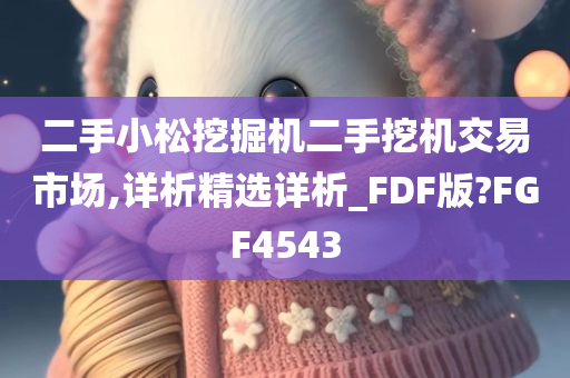 二手小松挖掘机二手挖机交易市场,详析精选详析_FDF版?FGF4543