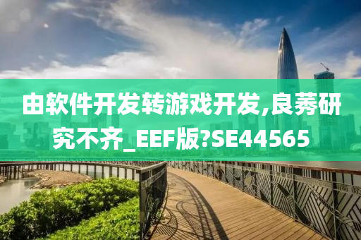 由软件开发转游戏开发,良莠研究不齐_EEF版?SE44565