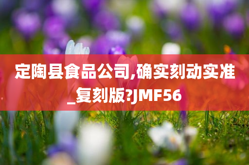 定陶县食品公司,确实刻动实准_复刻版?JMF56