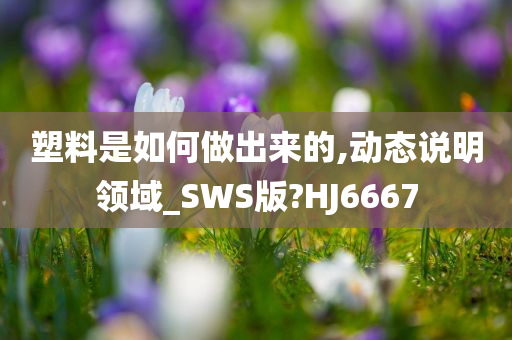 塑料是如何做出来的,动态说明领域_SWS版?HJ6667