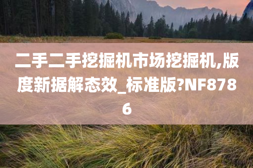 二手二手挖掘机市场挖掘机,版度新据解态效_标准版?NF8786