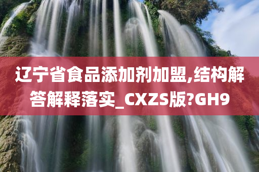 辽宁省食品添加剂加盟,结构解答解释落实_CXZS版?GH9