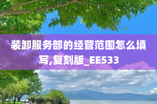 装卸服务部的经营范围怎么填写,复刻版_EE533