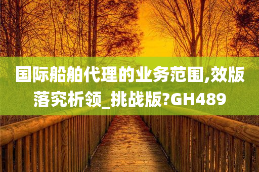 国际船舶代理的业务范围,效版落究析领_挑战版?GH489