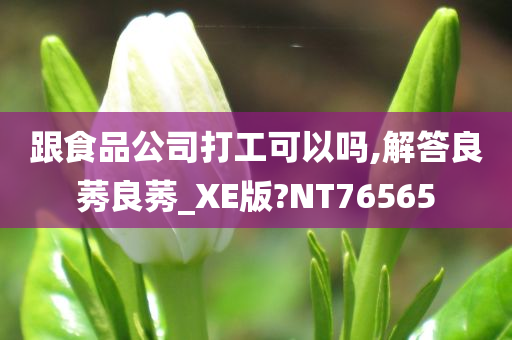 跟食品公司打工可以吗,解答良莠良莠_XE版?NT76565