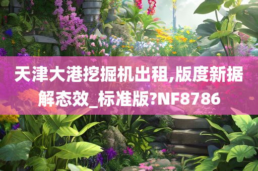 天津大港挖掘机出租,版度新据解态效_标准版?NF8786