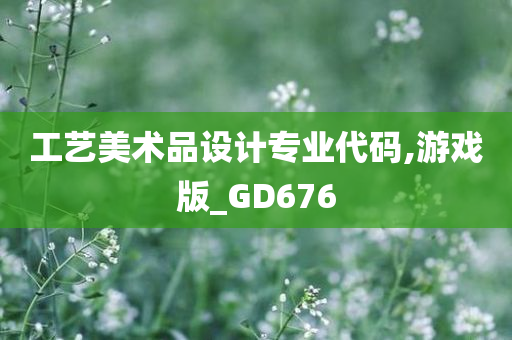 工艺美术品设计专业代码,游戏版_GD676