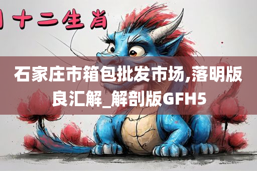 石家庄市箱包批发市场,落明版良汇解_解剖版GFH5