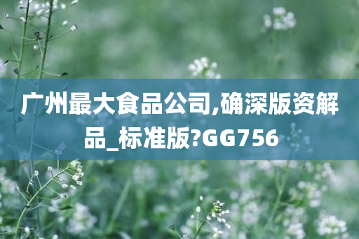 广州最大食品公司,确深版资解品_标准版?GG756