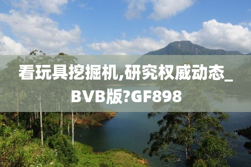 看玩具挖掘机,研究权威动态_BVB版?GF898