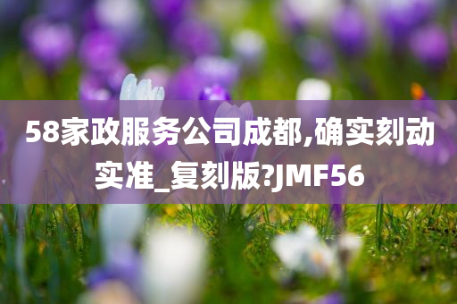 58家政服务公司成都,确实刻动实准_复刻版?JMF56