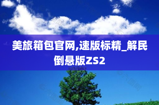 美旅箱包官网,速版标精_解民倒悬版ZS2