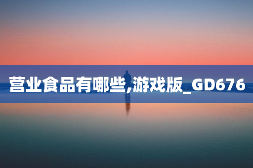 营业食品有哪些,游戏版_GD676