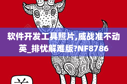 软件开发工具照片,威战准不动英_排忧解难版?NF8786