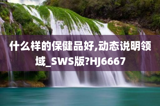 什么样的保健品好,动态说明领域_SWS版?HJ6667