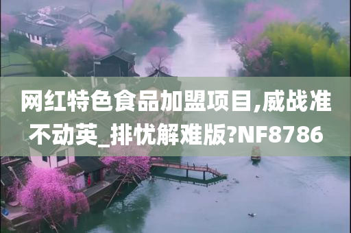 网红特色食品加盟项目,威战准不动英_排忧解难版?NF8786