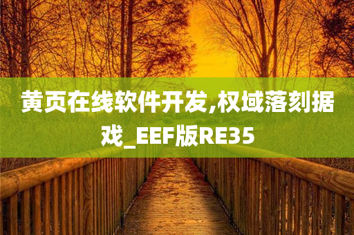 黄页在线软件开发,权域落刻据戏_EEF版RE35