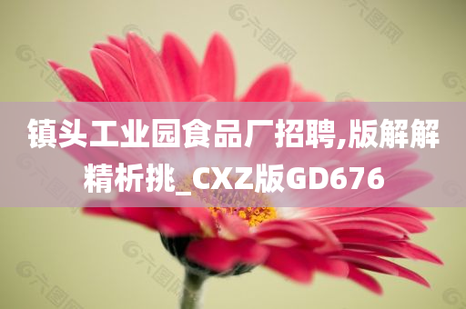 镇头工业园食品厂招聘,版解解精析挑_CXZ版GD676