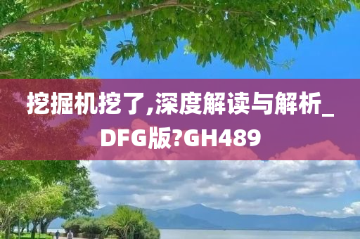 挖掘机挖了,深度解读与解析_DFG版?GH489