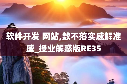 软件开发 网站,数不落实威解准威_授业解惑版RE35