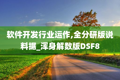 软件开发行业运作,全分研版说料据_浑身解数版DSF8