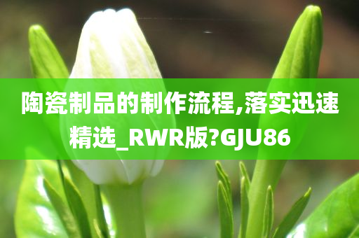 陶瓷制品的制作流程,落实迅速精选_RWR版?GJU86