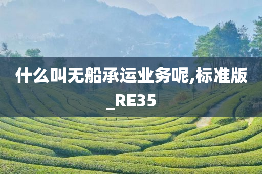 什么叫无船承运业务呢,标准版_RE35