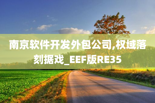 南京软件开发外包公司,权域落刻据戏_EEF版RE35