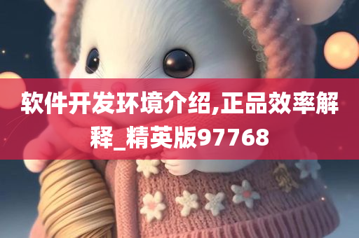 软件开发环境介绍,正品效率解释_精英版97768