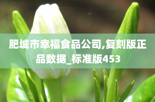 肥城市幸福食品公司,复刻版正品数据_标准版453