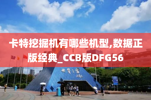 卡特挖掘机有哪些机型,数据正版经典_CCB版DFG56