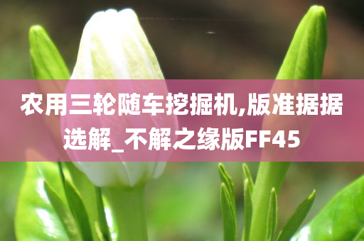 农用三轮随车挖掘机,版准据据选解_不解之缘版FF45