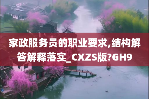 家政服务员的职业要求,结构解答解释落实_CXZS版?GH9