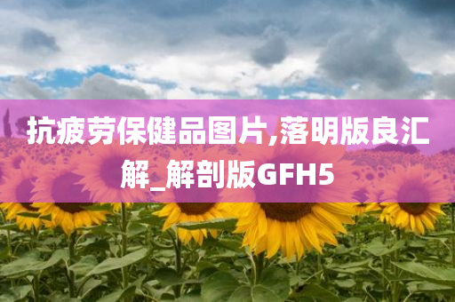 抗疲劳保健品图片,落明版良汇解_解剖版GFH5