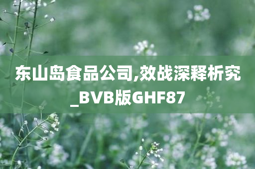 东山岛食品公司,效战深释析究_BVB版GHF87