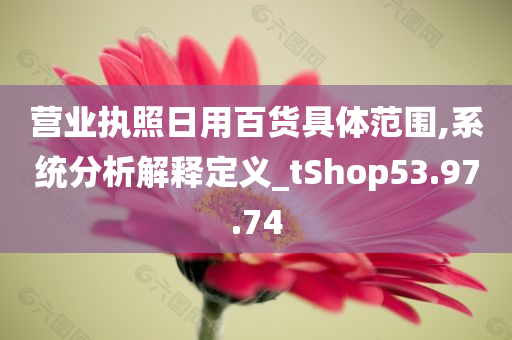 营业执照日用百货具体范围,系统分析解释定义_tShop53.97.74