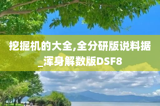 挖掘机的大全,全分研版说料据_浑身解数版DSF8