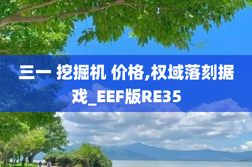 三一 挖掘机 价格,权域落刻据戏_EEF版RE35