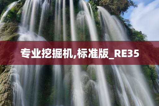 专业挖掘机,标准版_RE35