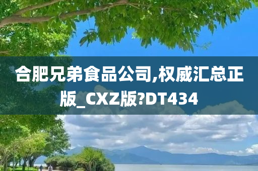 合肥兄弟食品公司,权威汇总正版_CXZ版?DT434