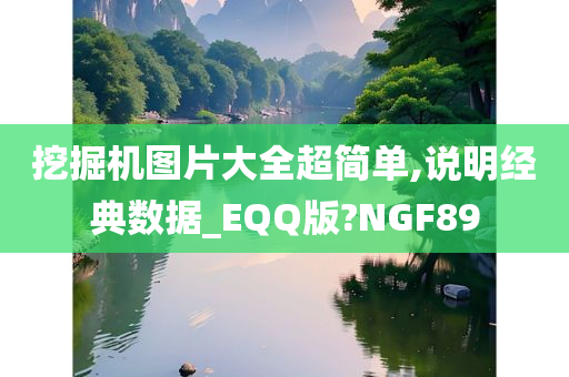 挖掘机图片大全超简单,说明经典数据_EQQ版?NGF89