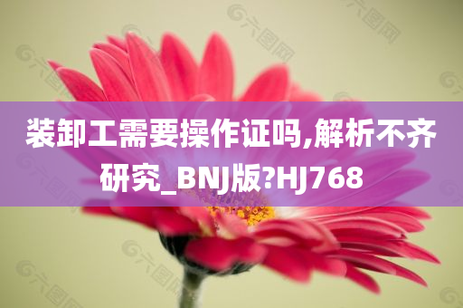 装卸工需要操作证吗,解析不齐研究_BNJ版?HJ768