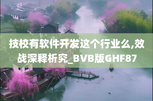 技校有软件开发这个行业么,效战深释析究_BVB版GHF87