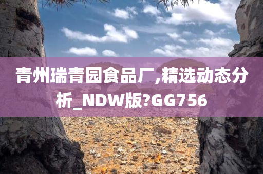 青州瑞青园食品厂,精选动态分析_NDW版?GG756