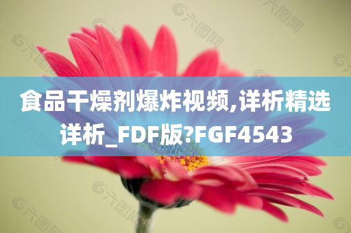 食品干燥剂爆炸视频,详析精选详析_FDF版?FGF4543