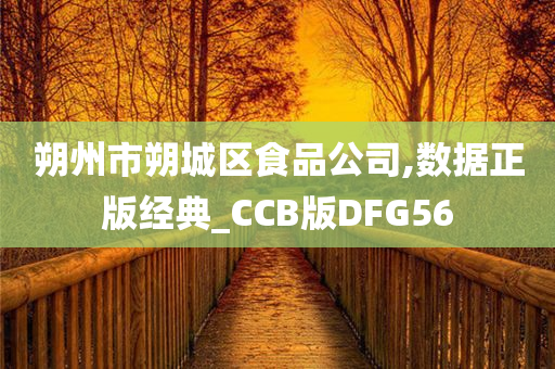 朔州市朔城区食品公司,数据正版经典_CCB版DFG56