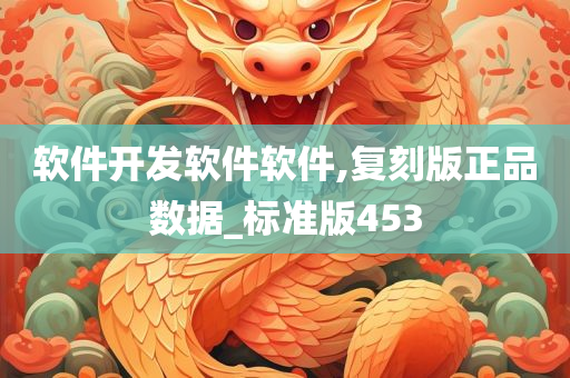 软件开发软件软件,复刻版正品数据_标准版453