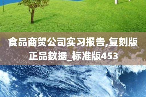 食品商贸公司实习报告,复刻版正品数据_标准版453