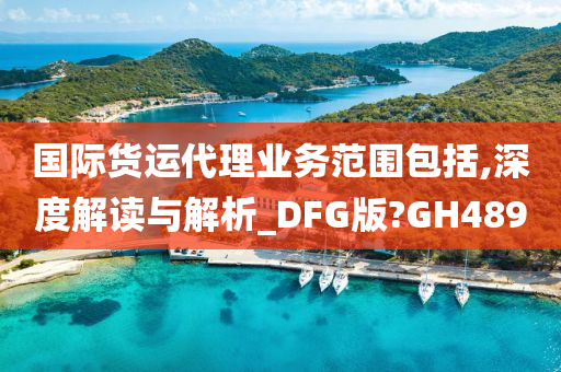 国际货运代理业务范围包括,深度解读与解析_DFG版?GH489