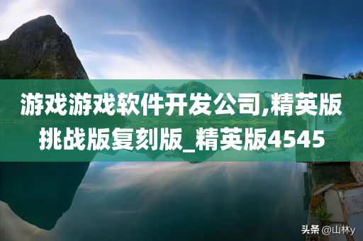 游戏游戏软件开发公司,精英版挑战版复刻版_精英版4545